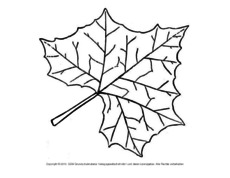 Herbstblatt-zum-Ausschneiden-21.pdf